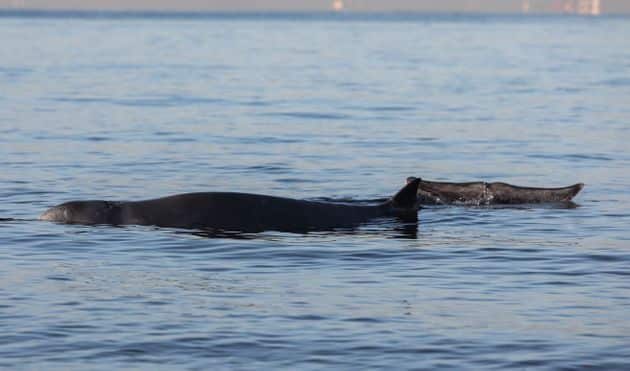 61f3ad5d360000150f24d96c