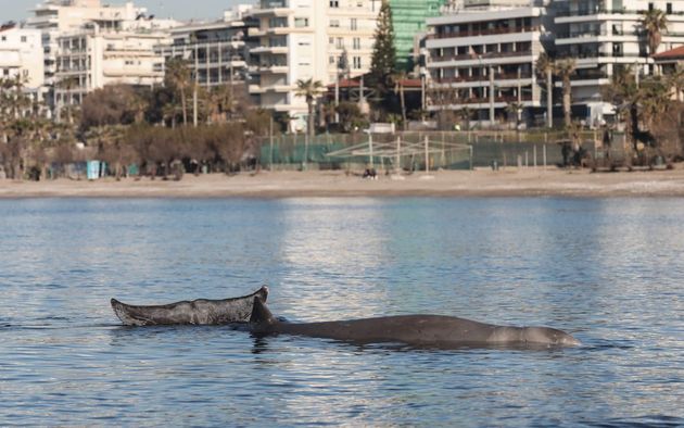 61f3ad6f2c00008604df5b01