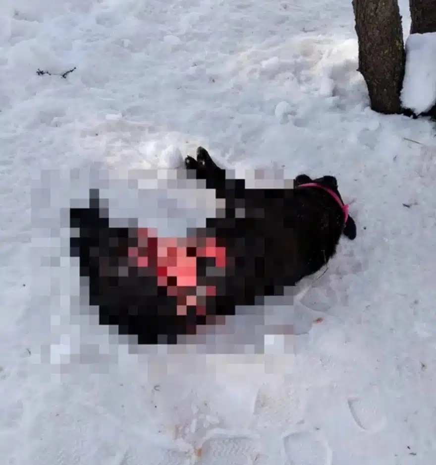 screenshot 20220130 150009