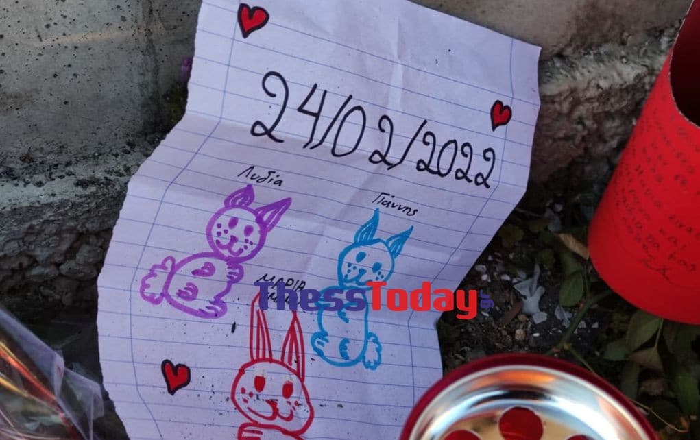 274349535 991893715057795 3273322355039500044 n