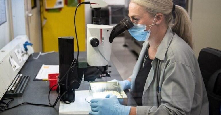 HIV: Εντοπίστηκε μια νέα πιο παθογόνα και μεταδοτική μετάλλαξη του ιού στην Ευρώπη