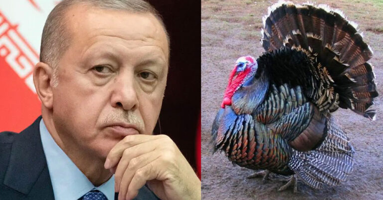 O Ερντογάν αλλάζει τη διεθνή ονομασία της Τουρκίας λόγω της… γαλοπούλας