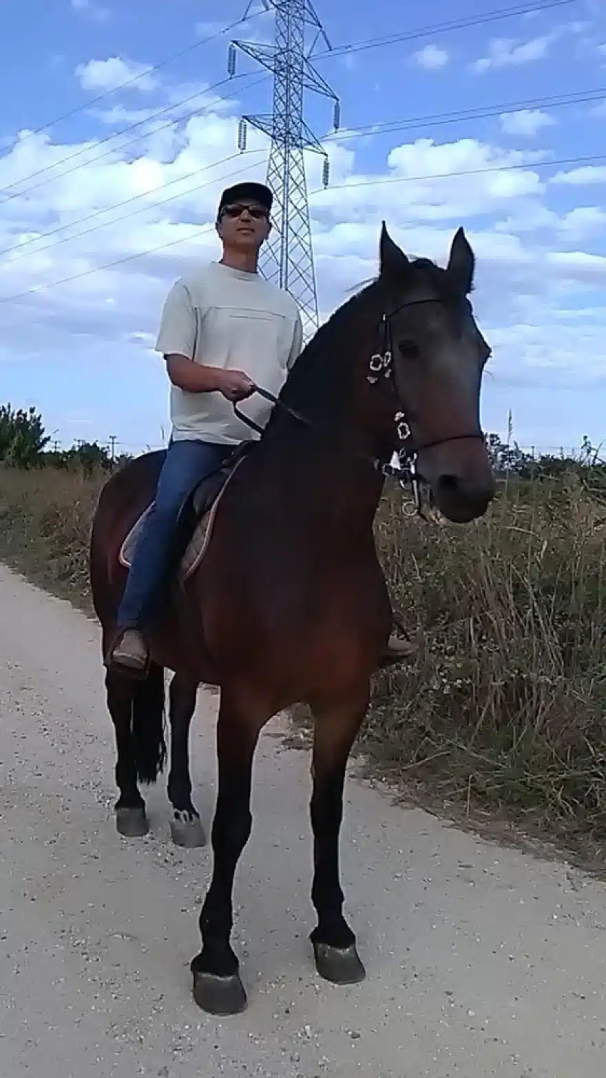 Μακελειό στην Ανδραβίδα: Ομολόγησε ο 60χρονος σπιτονοικοκύρης το τετραπλό φονικό 5