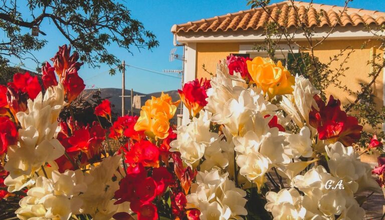 Εαρινή ισημερία: Μπαίνει η άνοιξη αύριο Κυριακή