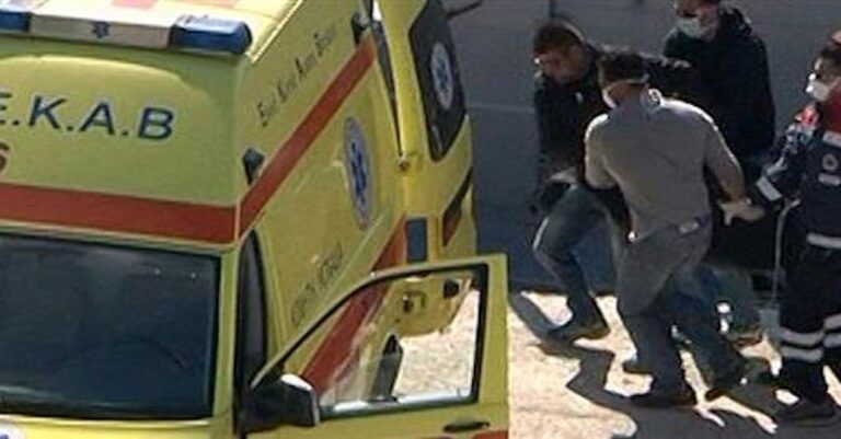 Μαγνησία: Πέθανε και τον έφαγαν οι γάτες του