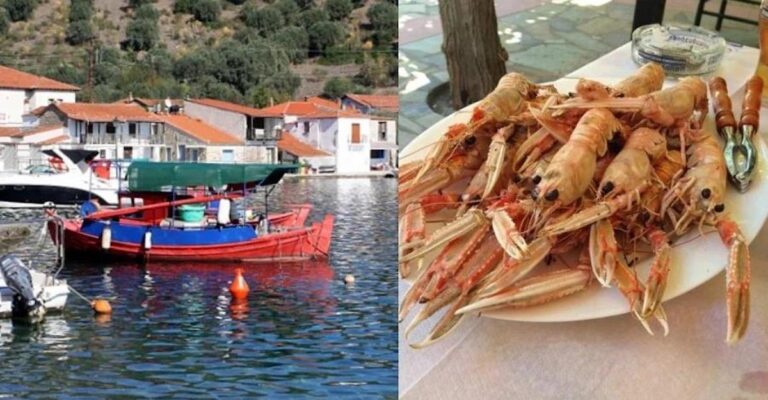 Ασφαλής «παράδεισος» χωρίς τουρίστες, που τρως ψαράκι, πίνεις και κοιμάσαι, με 15€ την ημέρα