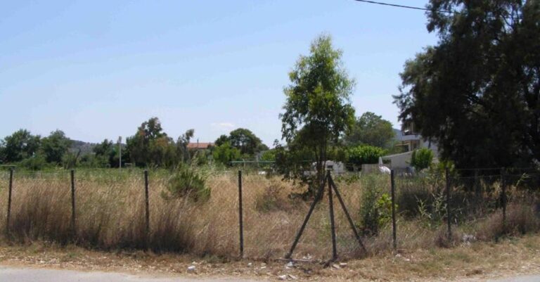 Καθαρισμός οικοπέδων: Τελευταίες προειδοποιήσεις από δήμους – Έρχονται πρόστιμα και φυλάκιση