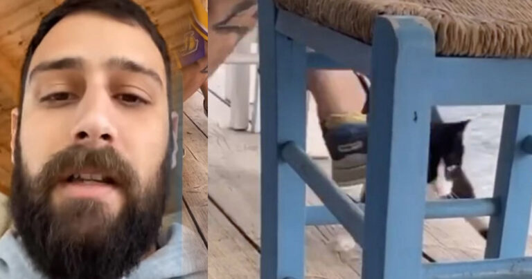 Αυτός είναι ο νεαρός που κλώτσησε τη γάτα στην ψαροταβέρνα