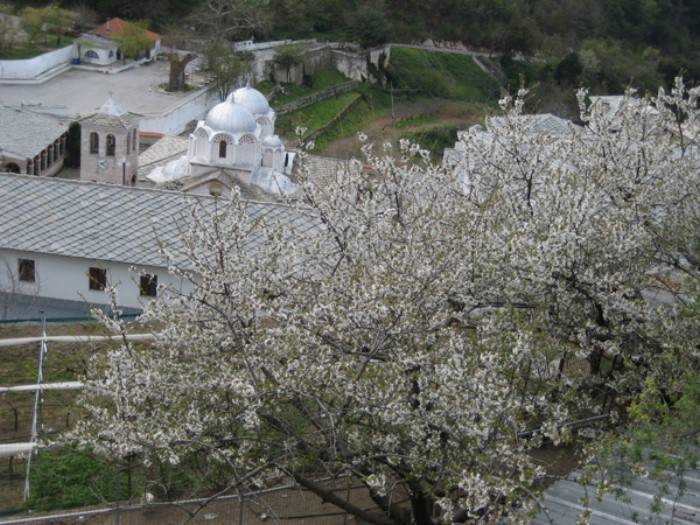 Παναγία η Εικοσιφοίνισσα: Το αρχαιότερο μοναστήρι στην Ελλάδα με τη θλιβερή ιστορία