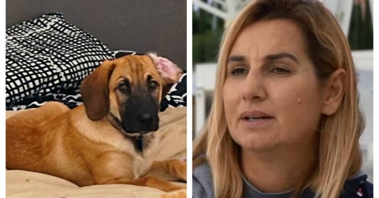 Σοφία Μπεκατώρου: Οδηγός παρέσυρε και σκότωσε τον σκύλο της- Το οργισμένο μήνυμά της
