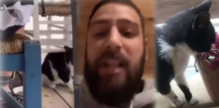 Συνελήφθη ο «νταής» που κλώτσησε το γατάκι στην Αιδηψό