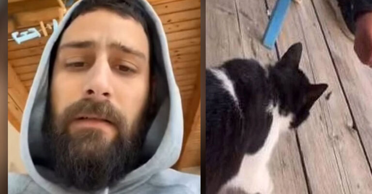 Αιδηψός: Αντιμέτωπος με 10ετή φυλάκιση και πρόστιμο έως 50.000 ευρώ ο 30χρονος που κακοποίησε γάτα