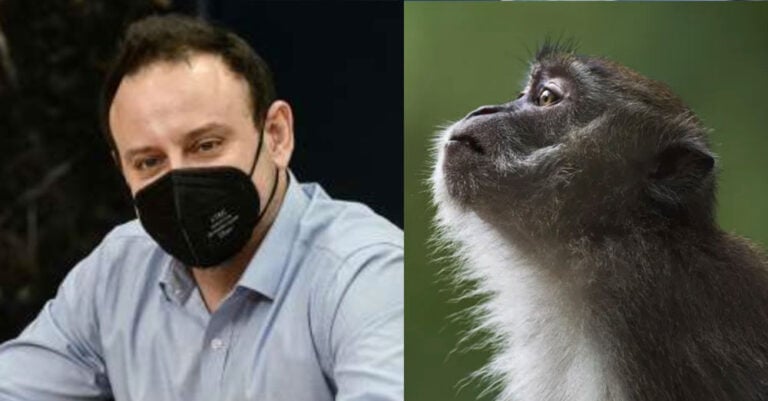 «Καμπανάκι» Μαγιορκίνη για «ευλογιά των πιθήκων»: Ανάγκη να υπάρξει αυξημένη επαγρύπνηση