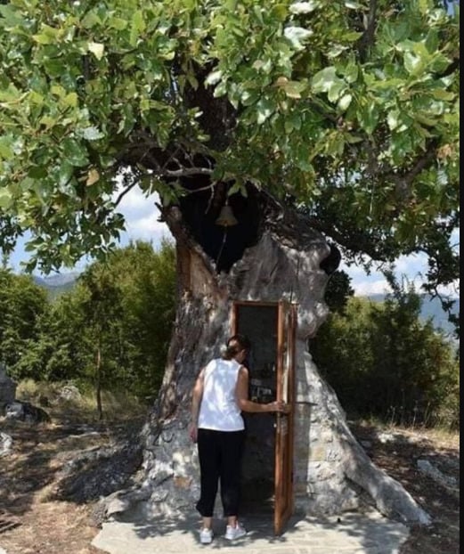Το ξεχωριστό εκκλησάκι που χτίστηκε μέσα σε δέντρο στην Κόνιτσα 5 1 13 63
