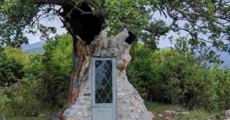 Το ξεχωριστό εκκλησάκι που χτίστηκε μέσα σε δέντρο στην Κόνιτσα