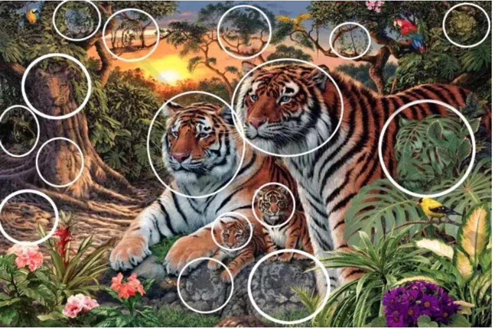 16tigers