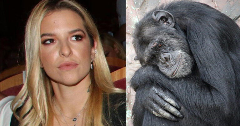 «Τέλος στα ζωολογικά πάρκα!» – Ξέσπασε η Εριέττα Κούρκουλου για την θανάτωση του χιμπατζή στο Αττικό Πάρκο