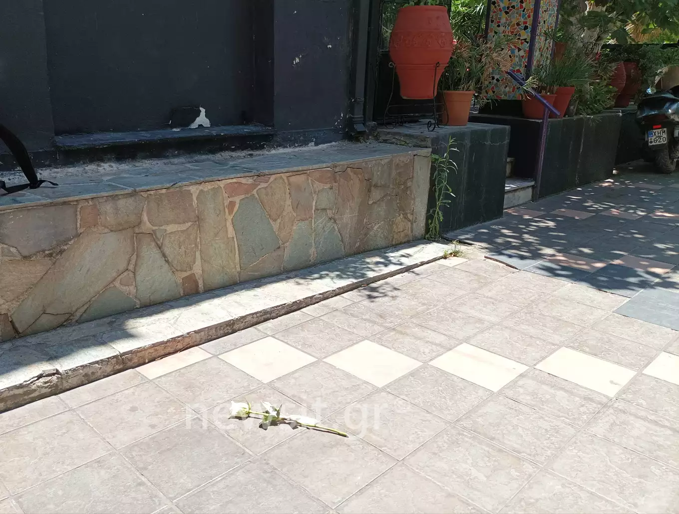 rafina dolofonia louloudi