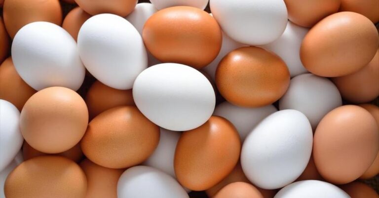 Ποια είναι η διαφορά ανάμεσα στα καφέ και τα άσπρα αυγά;