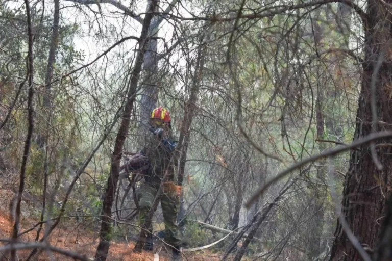 Φωτιά στον Έβρο: Καλά νέα – Άρχισε να βρέχει στο δάσος της Δαδιάς