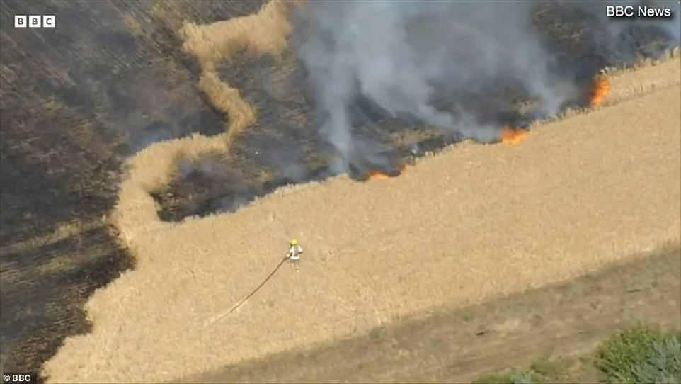 60627143 11043315 the inferno spread across almost 20 acres of land and could be s a 14 1658652039974