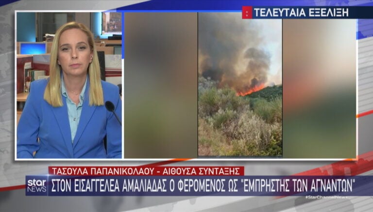 Φωτιά Άγναντα Ηλείας: Στον εισαγγελέα ο φερόμενος ως εμπρηστής