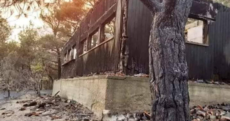 Στάχτη έγινε το παρατηρητήριο πουλιών στο δάσος της Δαδιάς