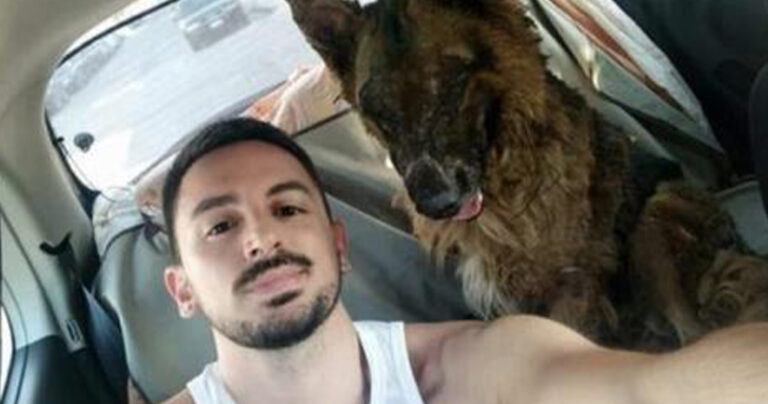 Συγκινεί ο αστυνομικός που έσωσε το λυκόσκυλο με τα εγκαύματα