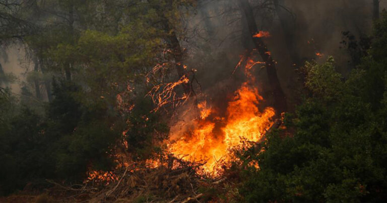 Χαλκίδα – Ανήλικοι εμπρηστές: καταδίωξη και σύλληψη επ’ αυτοφώρω