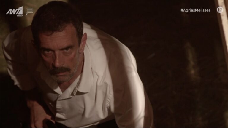 «Άγριες Μέλισσες»: Η θυσία του Δούκα και η εκδίκηση του Μελέτη καθήλωσαν το κοινό