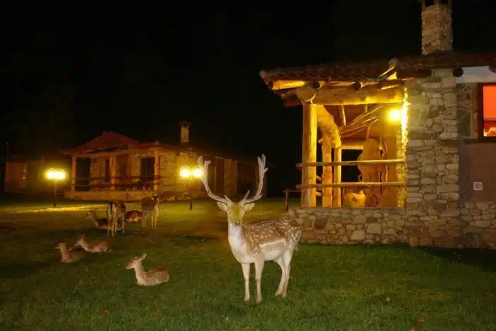 michanikos aytokiniton eftiaxe to chorio ton flinstooyns stin karditsa kai oi toyristes kanoyn oyra 3