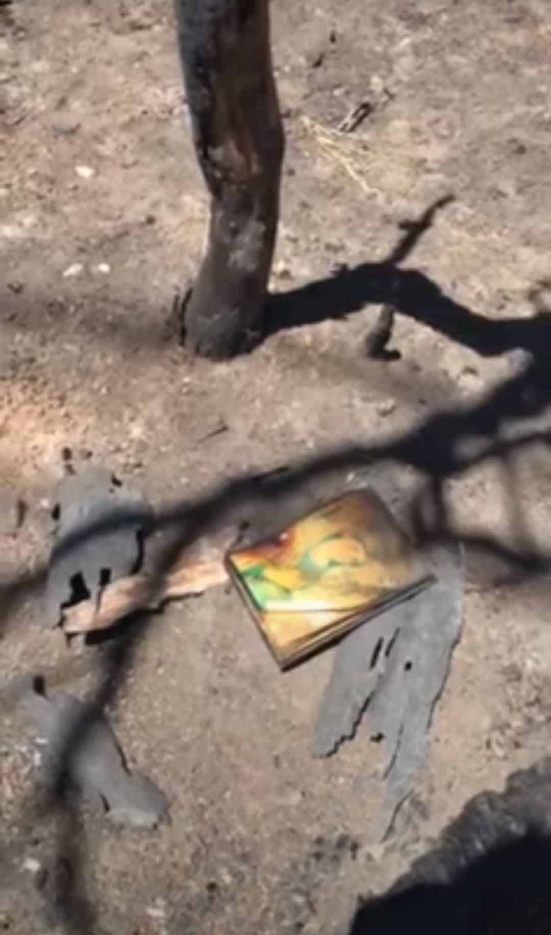 Θαύμα στο Ντράφι; Βρέθηκε εικόνα της Παναγίας ανέγγιχτη από τη φωτιά! 1 ntrafi eikona panagias
