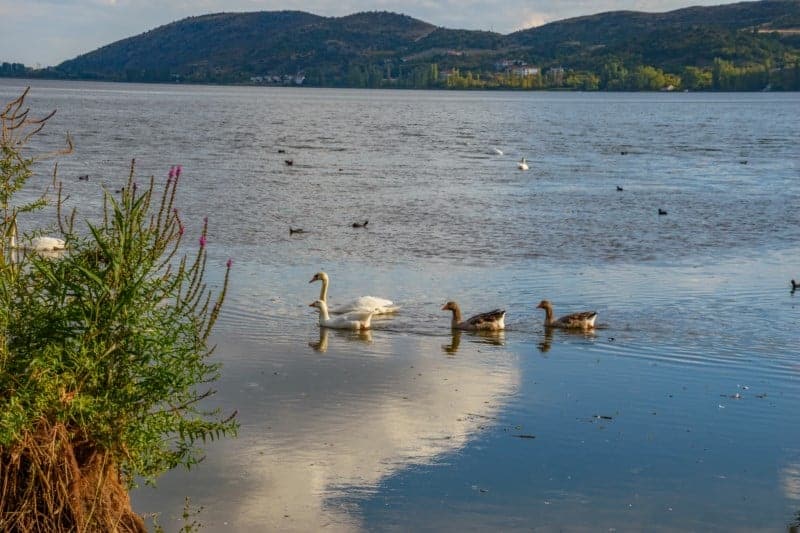 shutterstock 738930208