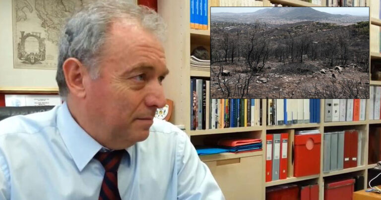 Λέκκας: «Βομβαρδισμένο τοπίο η Πεντέλη – Ο καθένας χτίζει όπου θέλει, θέλουμε το δέντρο μέχρι το… σαλόνι μας»