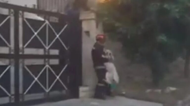 Φωτιά στην Πεντέλη: Καρέ – καρέ η διάσωση μεγαλόσωμου σκύλου από αυλή σπιτιού το Ντράφι