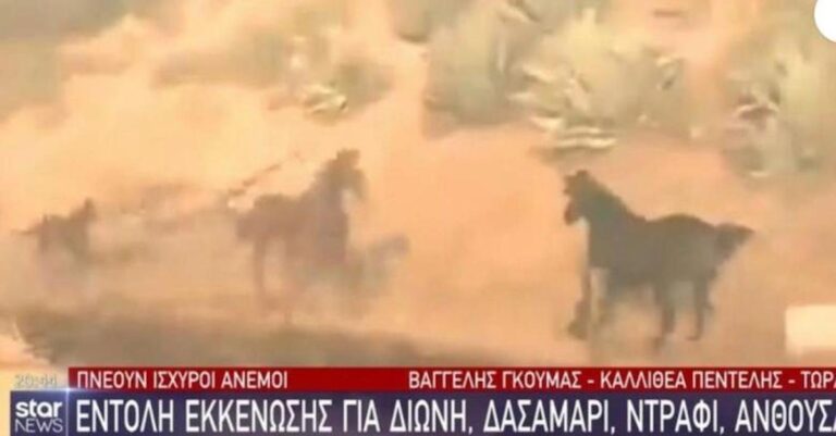 Φωτιά στην Πεντέλη: Άλογα τρέχουν απεγνωσμένα ανάμεσα στις φλόγες να σωθούν