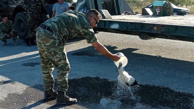 Όσο υπάρχουν άνθρωποι: Αρχιλοχίας δροσίζει πελαργό με εγκαύματα στα πόδια από την πυρκαγιά