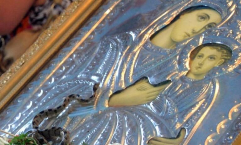 Κεφαλονιά: Σήμερα βγαίνουν τα φίδια της Παναγίας – Θ’ αναχωρήσουν τον Δεκαπενταύγουστο