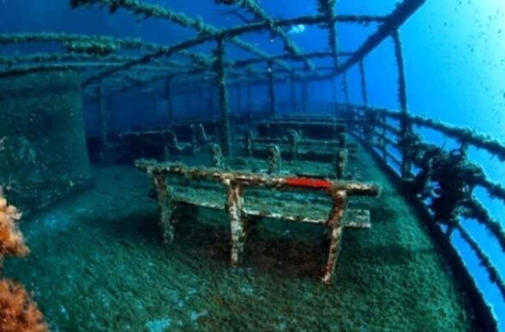 374 585x386 1 730x481 1