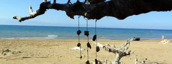 ena zeygari poy to lene eytychia oi dyo eroteymenoi poy metanasteysan sti gaydo kai vrikan to noima tis zois 1