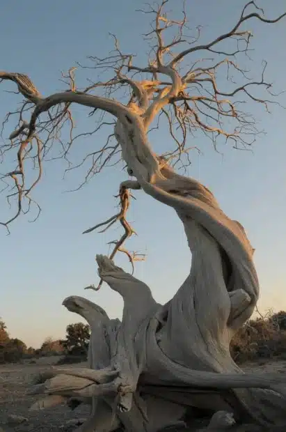 ena zeygari poy to lene eytychia oi dyo eroteymenoi poy metanasteysan sti gaydo kai vrikan to noima tis zois 7