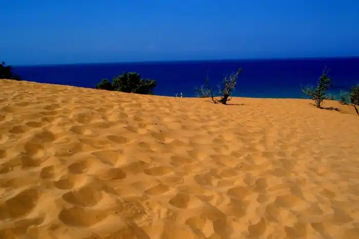 ena zeygari poy to lene eytychia oi dyo eroteymenoi poy metanasteysan sti gaydo kai vrikan to noima tis zois 8