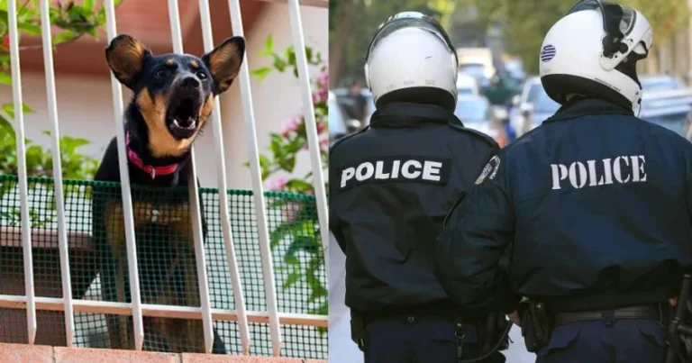 Γαβγίζει ο σκύλος σας σε ώρα κοινής ησυχίας; Ετοιμαστείτε να πληρώσετε «τσουχτερό» πρόστιμο