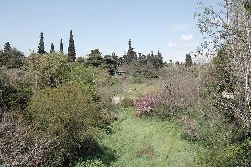 Αθήνα: Η μόνη ευρωπαϊκή πρωτεύουσα που δε διαρρέεται από κανένα ποτάμι 2 ilissos3