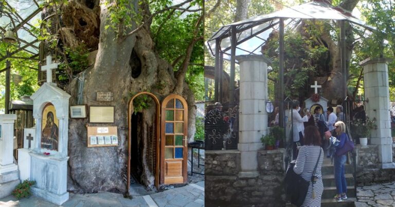 Το ομορφότερο Εκκλησάκι της Παναγίας «κρύβεται» σε έναν πλάτανο 1000 ετών