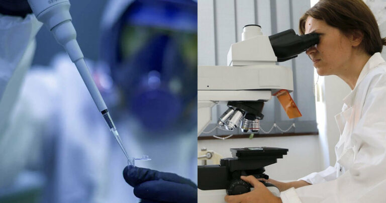 Τεpάστια ανακάλυψη: Επιστήμονες επανάφεραν όργανα μετά θάνατον – Μπορεί να σώσει ζωές