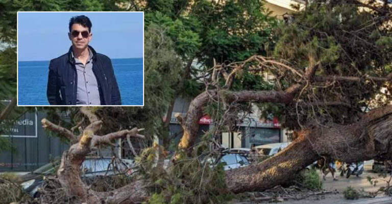 Κρήτη: Το βίντεο ντοκουμέντο με την πτώση του δέντρου που σκότωσε τον 51χρονο