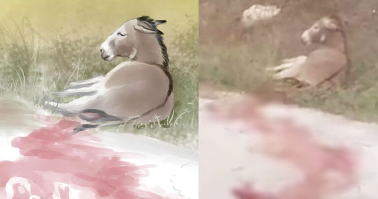 Συγκλονίζει το σκίτσο με το αδικοχαμένο γαϊδουράκι και την Παναγία