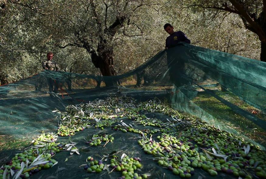 02dcfc70 1964 4a52 a191 bbcd7be6c9fd