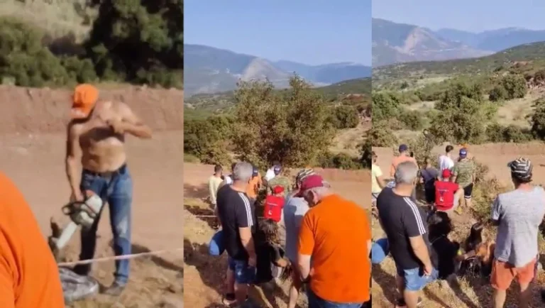 ΕΚΟ Ράλλυ Ακρόπολις: Έκοψε δέντρο με αλυσοπρίονο γιατί του εμπόδιζε τη θέα στον αγώνα
